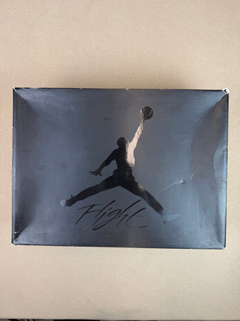 Air Jordan Retro 4 Black Cat 2020 (USED)