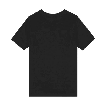 Stussy Cube Pig Dyed Tee Black