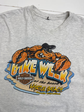 Vintage 2001 Harley Davidson Myrtle Beach Tee Grey