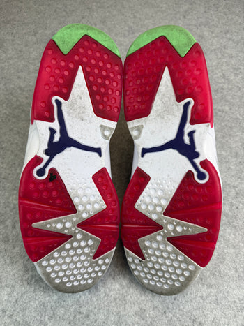 Air Jordan 6 Retro Hare (USED)