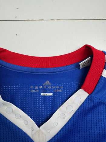 Vintage 2000s Chelsea Fernando Torres Jersey Blue
