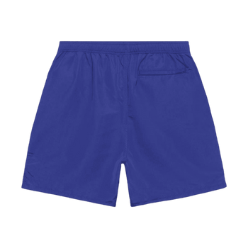 Stussy SS-Link Water Shorts Purple