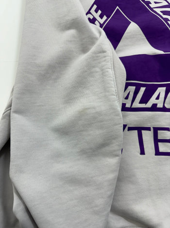 Palace x Arc'teryx Hoodie Grey (USED)