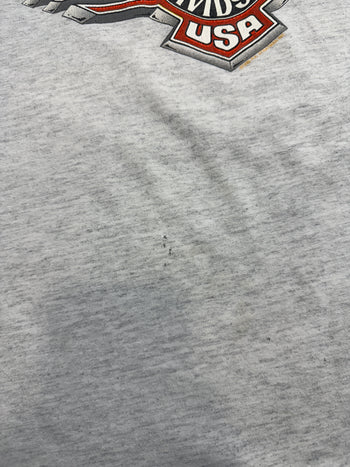 Vintage 1999 Harley Davidson Alaska Northern Outpost Tee Grey