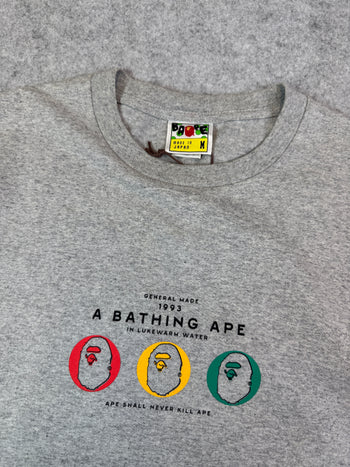 BAPE Rasta 3 Ape Heads Tee Grey