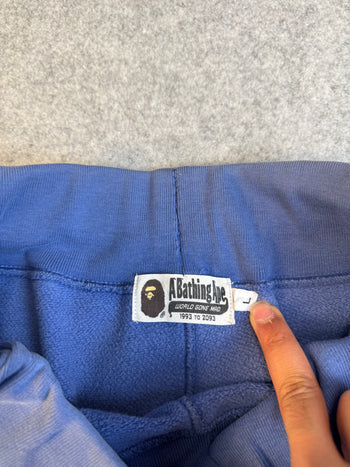 BAPE Color Camo Sweatshorts Navy (USED)