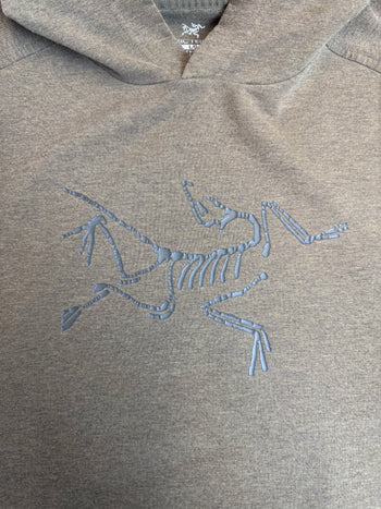 Arc'teryx Pullover Hoodie Green (USED)