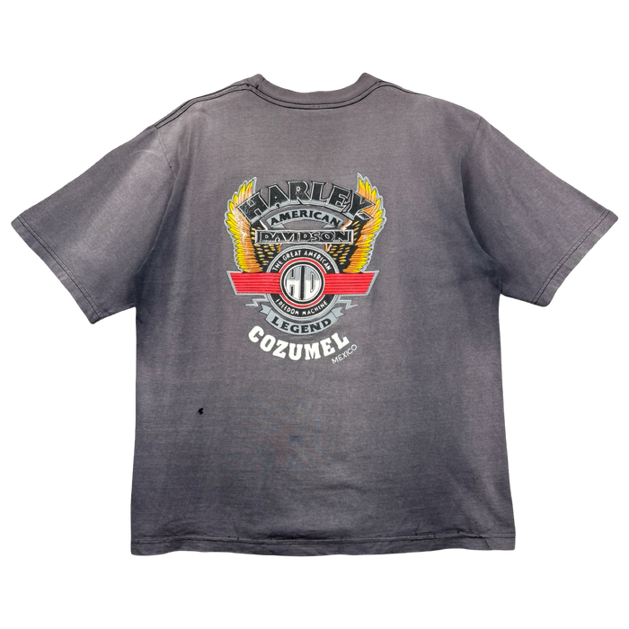 Vintage Harley Davidson American Legend Faded Tee Grey | Vitnage Clothing Store Canada