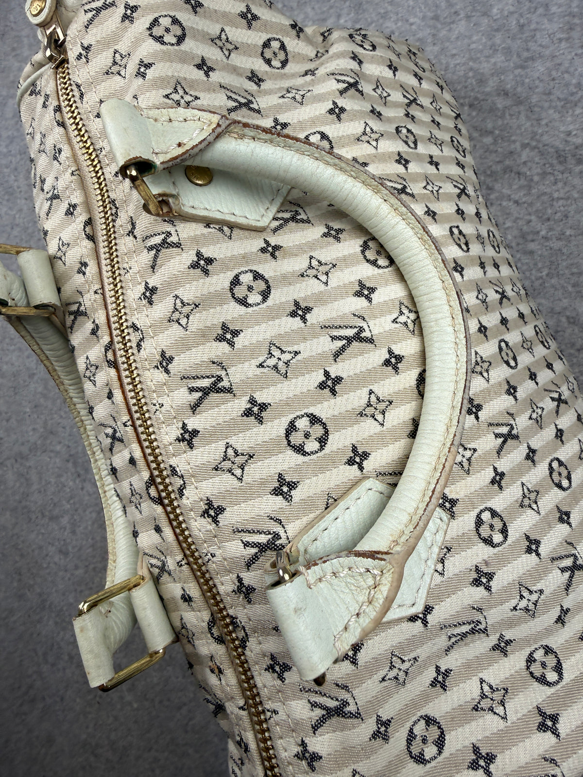 Louis Vuitton Mini Lin Speedy 30 Bag
