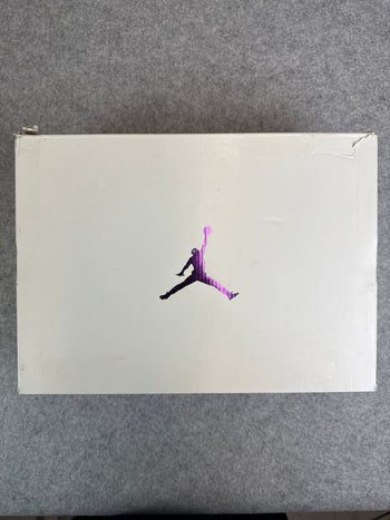 Air Jordan 4 Retro Metallic Purple (USED)