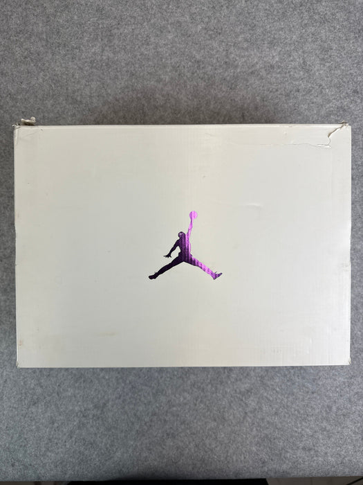 Air Jordan 4 Retro Metallic Purple (USED) | Vitnage Clothing Store Canada