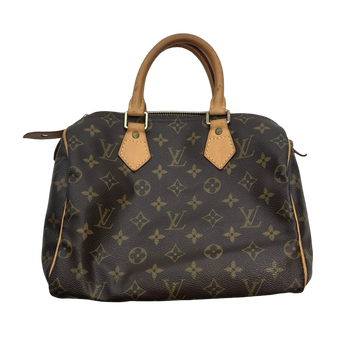 Louis Vuitton Monogram Speedy Bag Brown