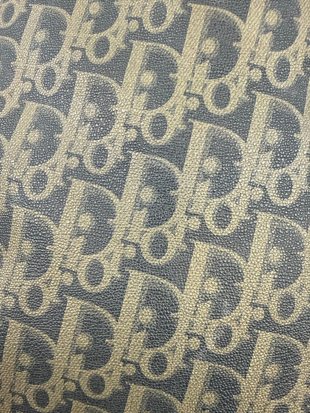 Christian Dior Oblique Trotter Dome Bag Monogram