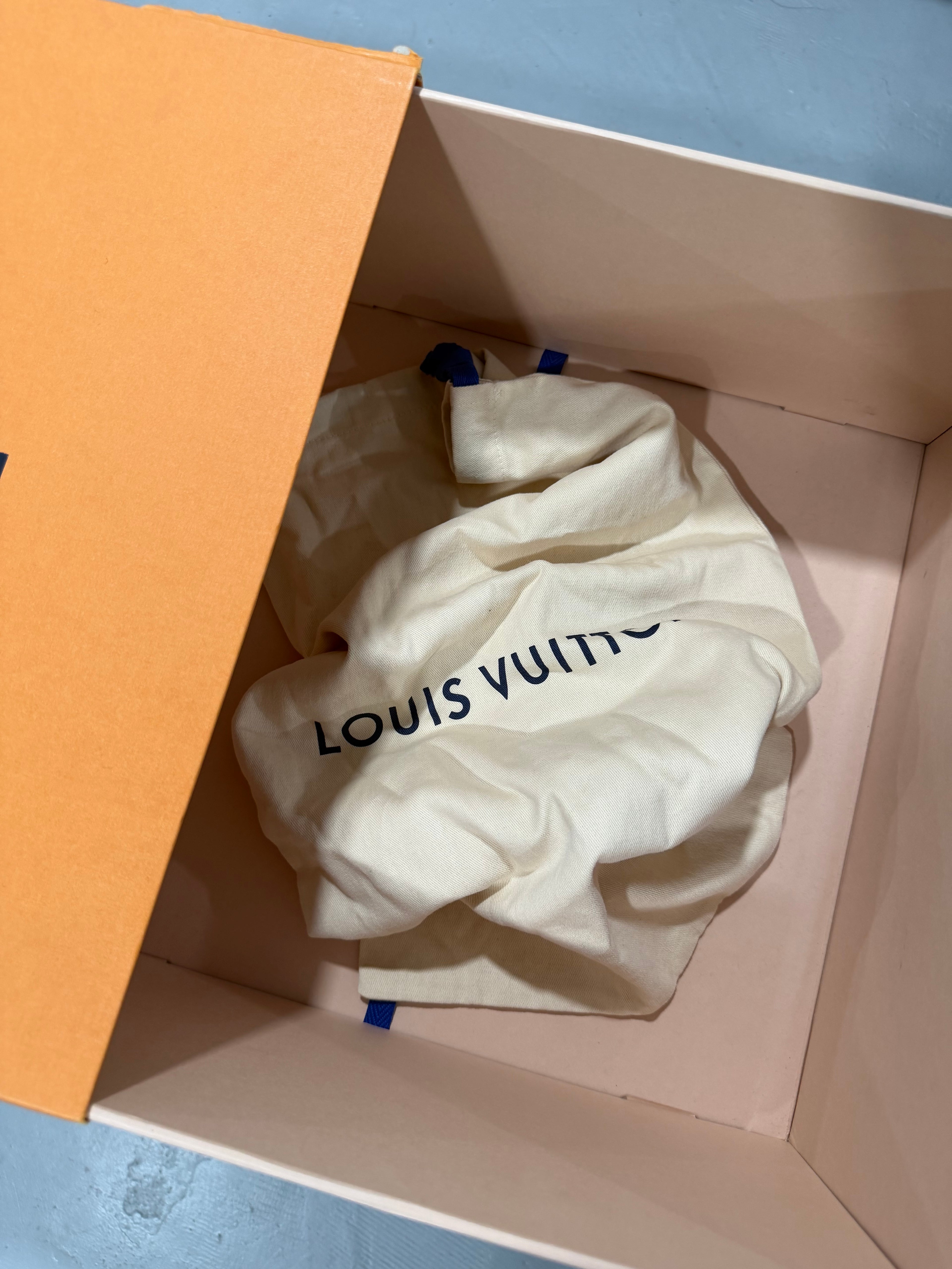 Louis Vuitton Skate Trainer Marine (USED)