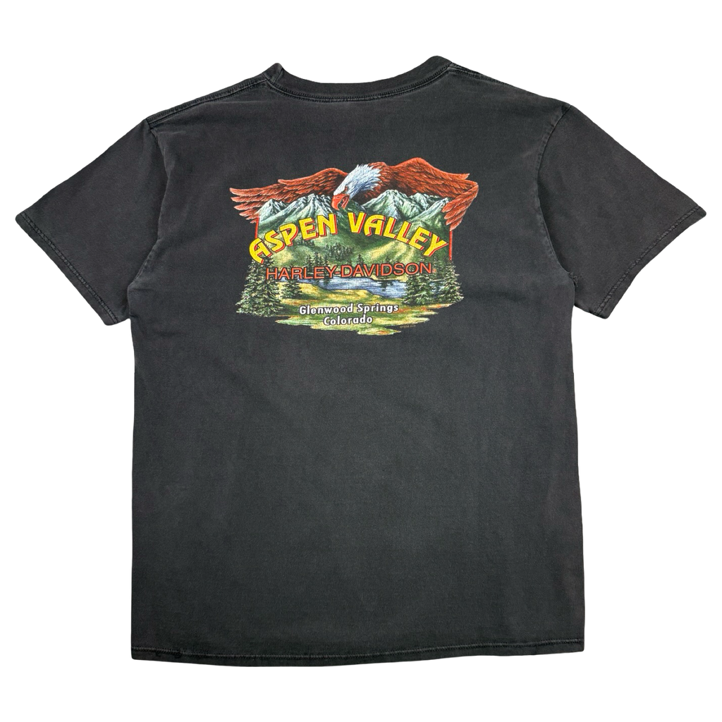 Vintage Harley Davidson Aspen Valley Tee Black