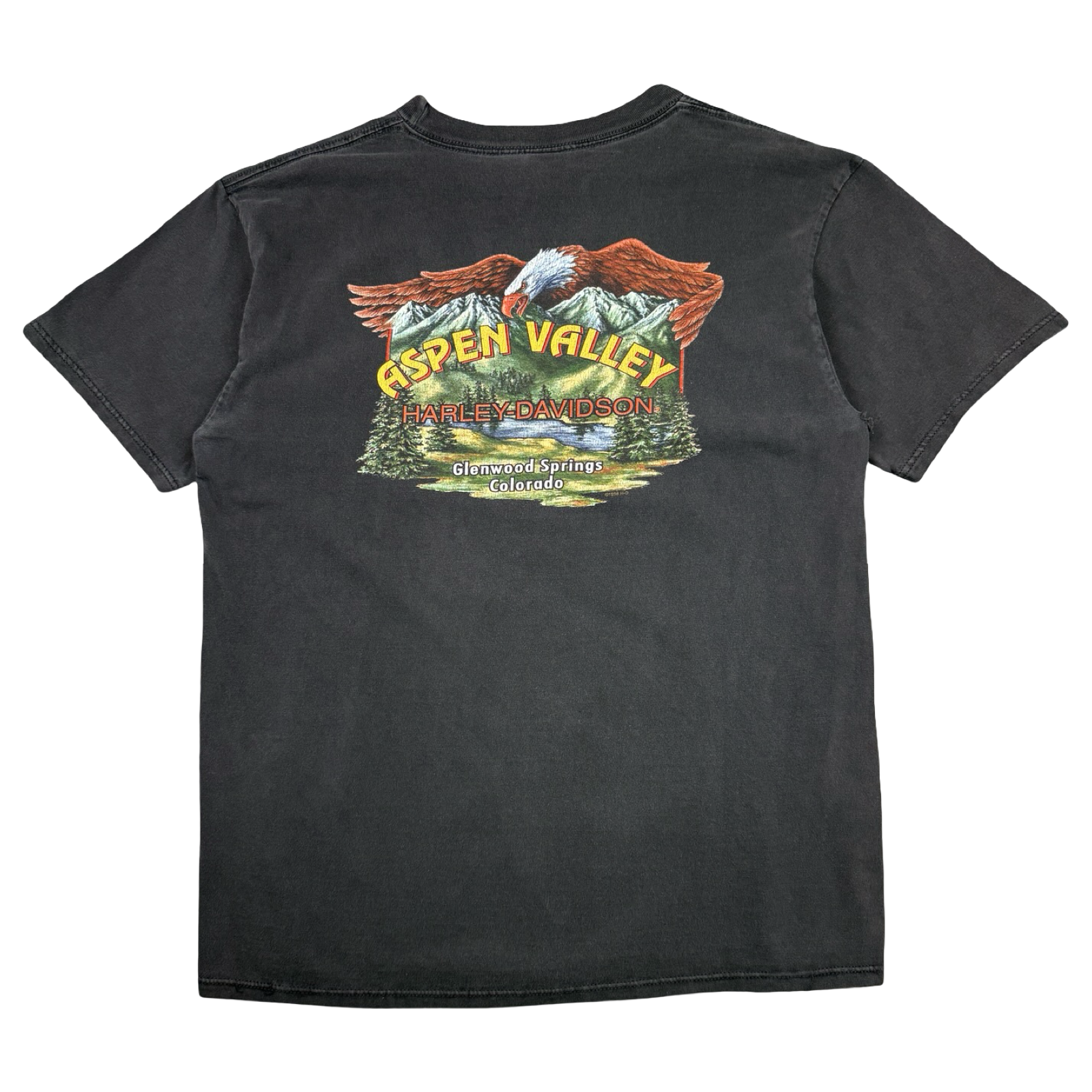 Vintage Harley Davidson Aspen Valley Tee Black