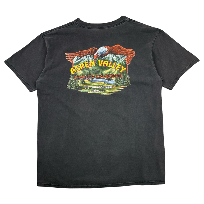 Vintage Harley Davidson Aspen Valley Tee Black | Vitnage Clothing Store Canada