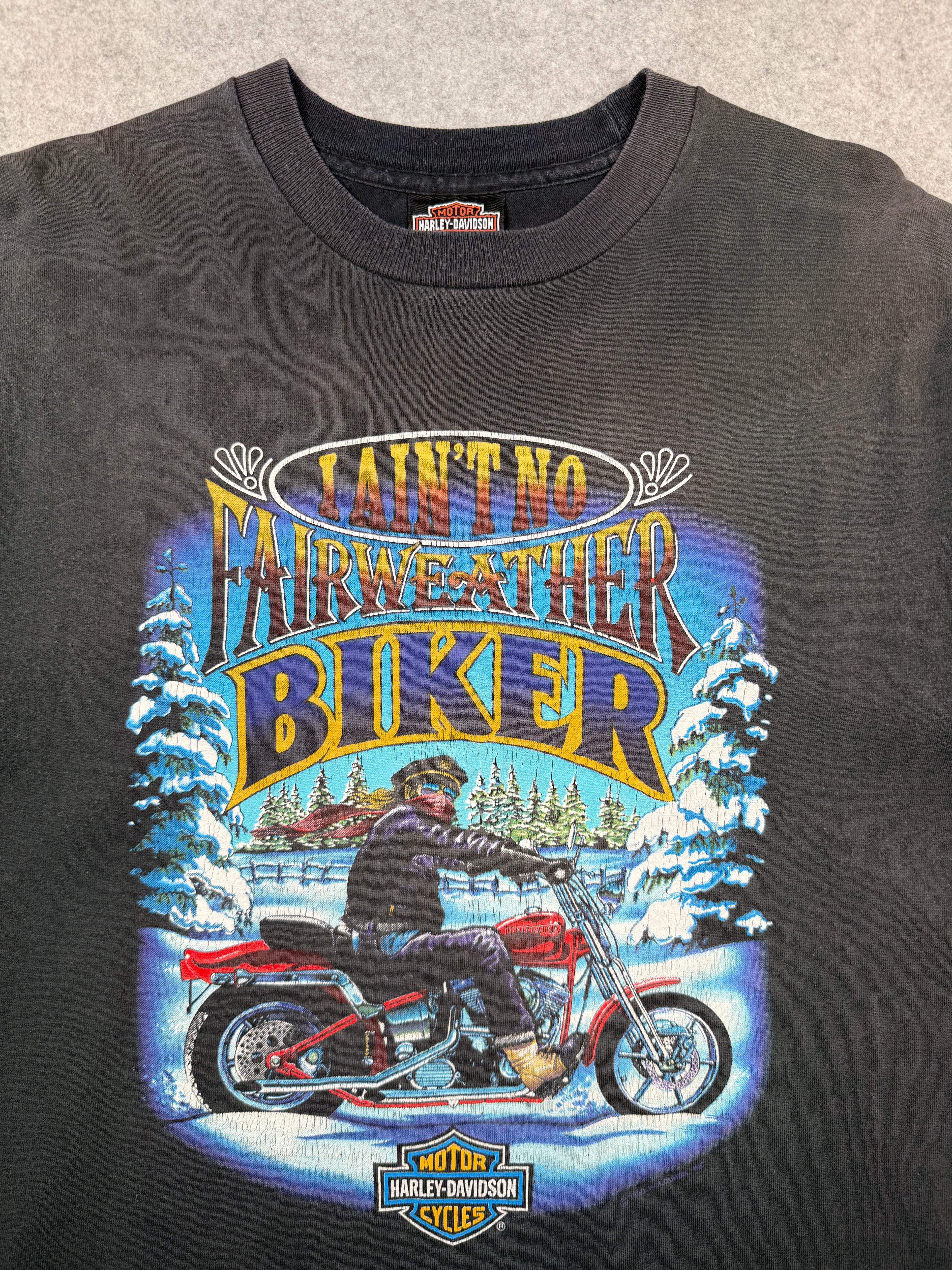 Vintage Harley Davidson Ain’t No Fairweather Biker Tee Black