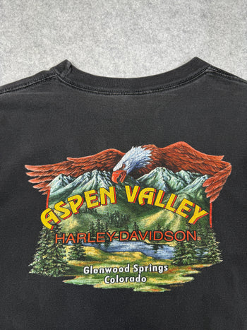 Vintage Harley Davidson Aspen Valley Tee Black