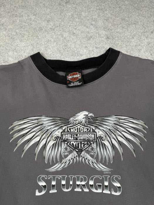Vintage Harley Davidson Sturgis Chrome Eagle L/S Tee Grey | Vitnage Clothing Store Canada