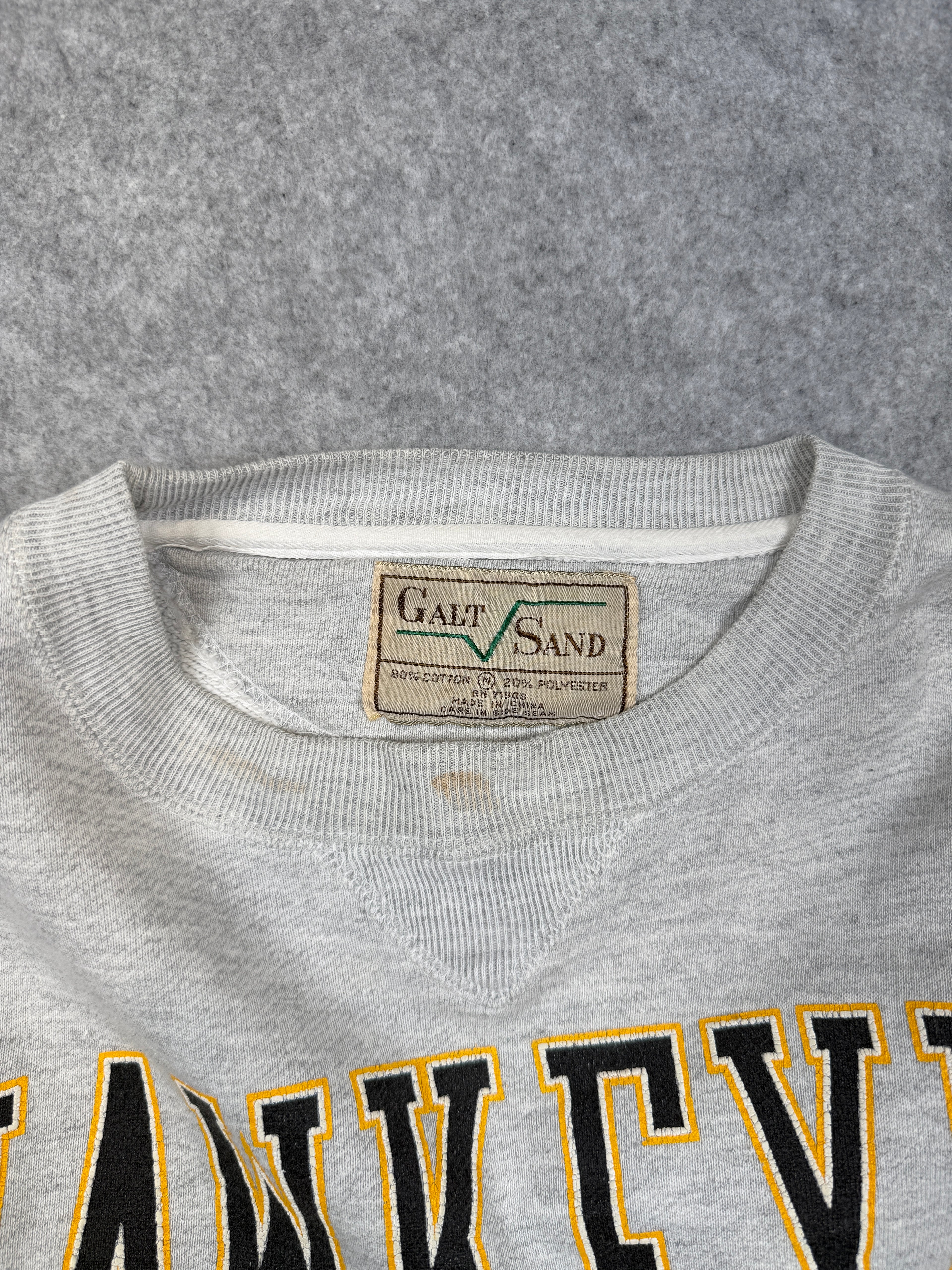 Vintage University of Iowa Hawkeyes Sweatshirt Grey