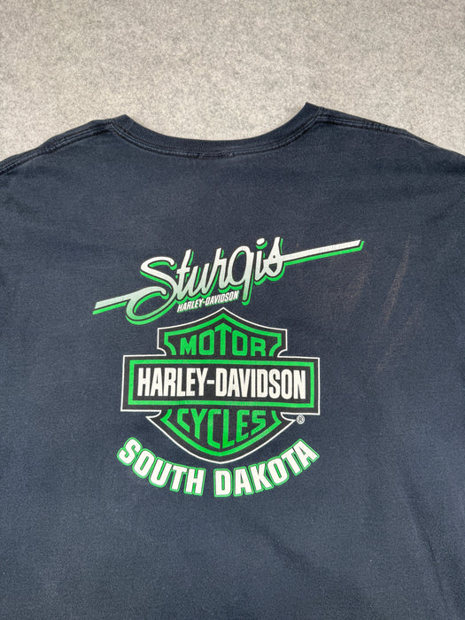 Vintage Harley Davidson Sturgis Green Flame Sleeve L/S Tee | Vitnage Clothing Store Canada