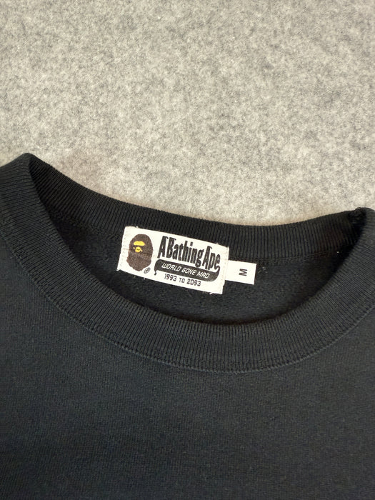 BAPE Blacked Out College Sweatshirt Black (USED) | Vitnage Clothing Store Canada