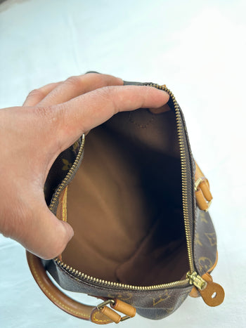 Louis Vuitton Monogram Speedy Bag Brown
