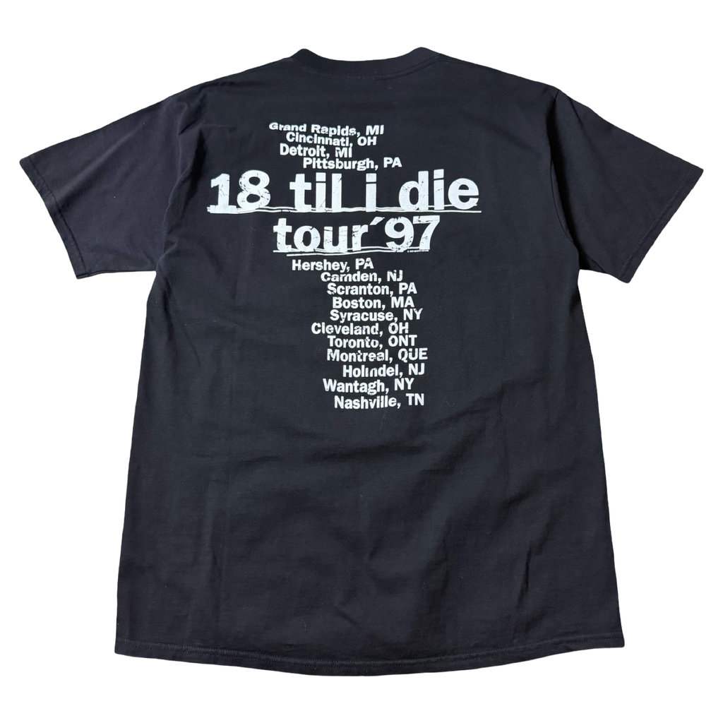 2003 Cher Living Proof Farewell Tour Tee Black