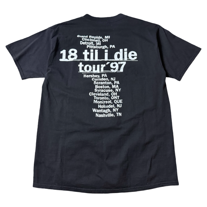 2003 Cher Living Proof Farewell Tour Tee Black | Vitnage Clothing Store Canada