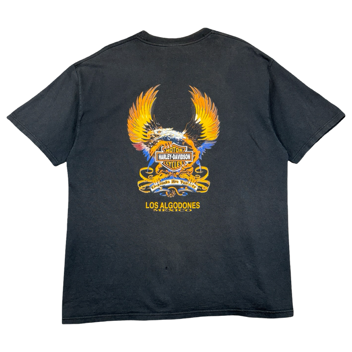 Vintage Harley Davidson Legends Are Forever Eagle Tee Black | Vitnage Clothing Store Canada
