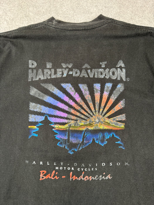 Vintage Harley Davidson Dragon Tee Black | Vitnage Clothing Store Canada