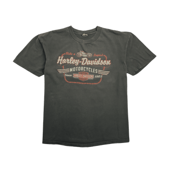 (M) Harley Davidson New Hampshire Tee Brown