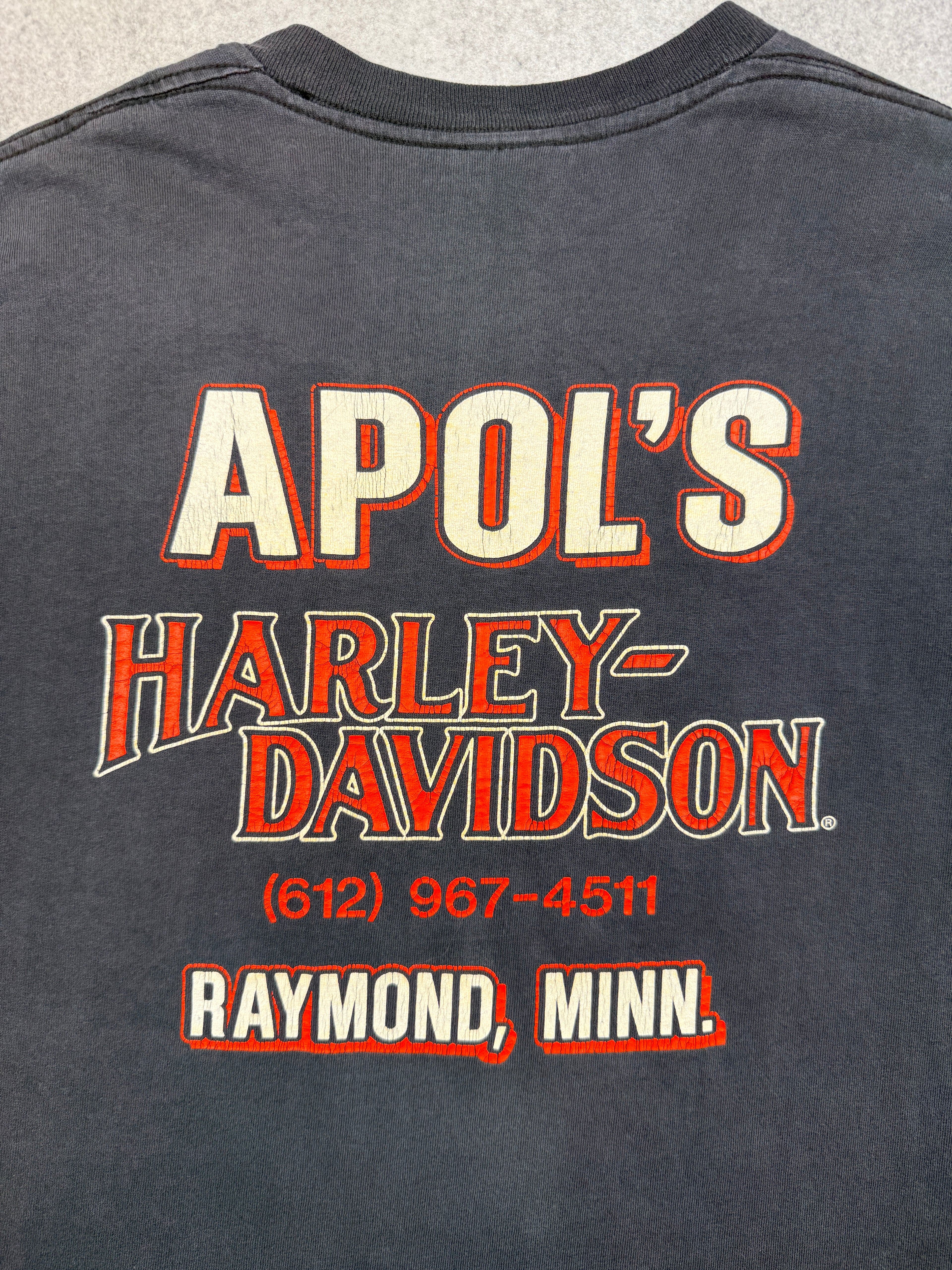 Vintage 80's Harley Davidson America The Beautiful Tee Black