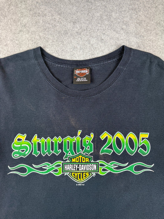 Vintage Harley Davidson Sturgis Green Flame Sleeve L/S Tee | Vitnage Clothing Store Canada