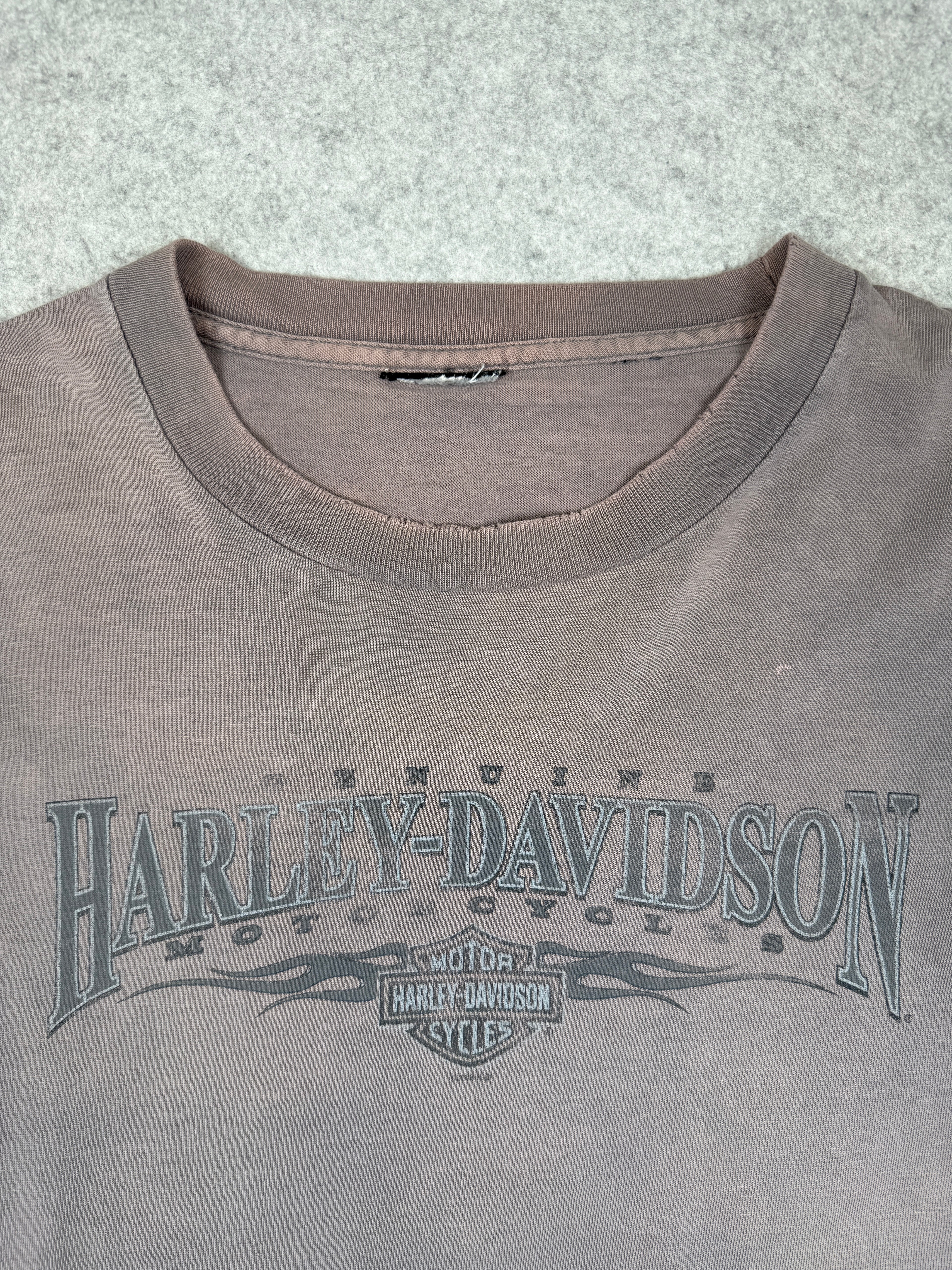 Vintage Harley Davidson New Jersey Flame Dice L/S Tee Faded Grey