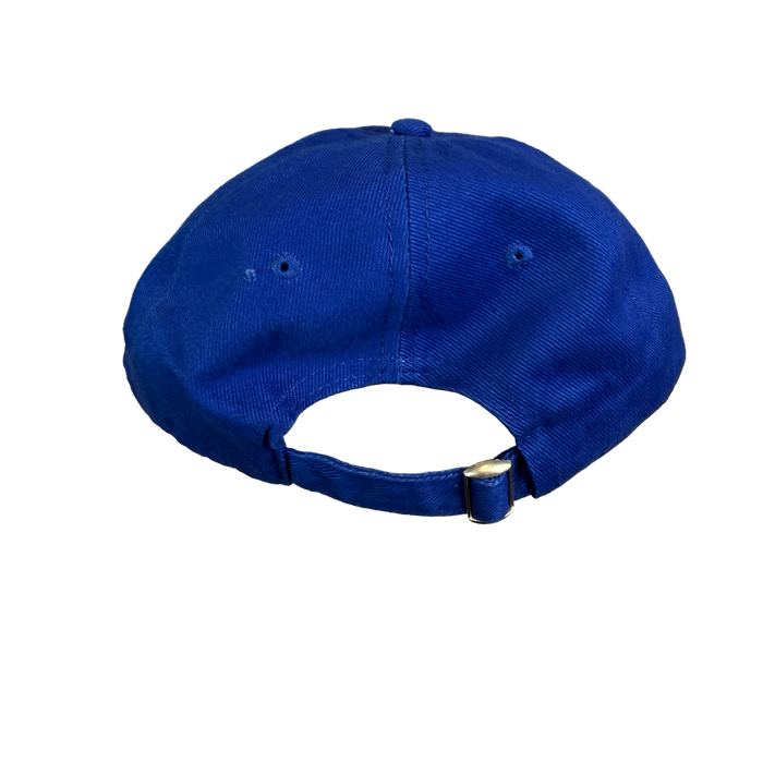 Kanye West I Feel Like Pablo Hat Blue | Vitnage Clothing Store Canada