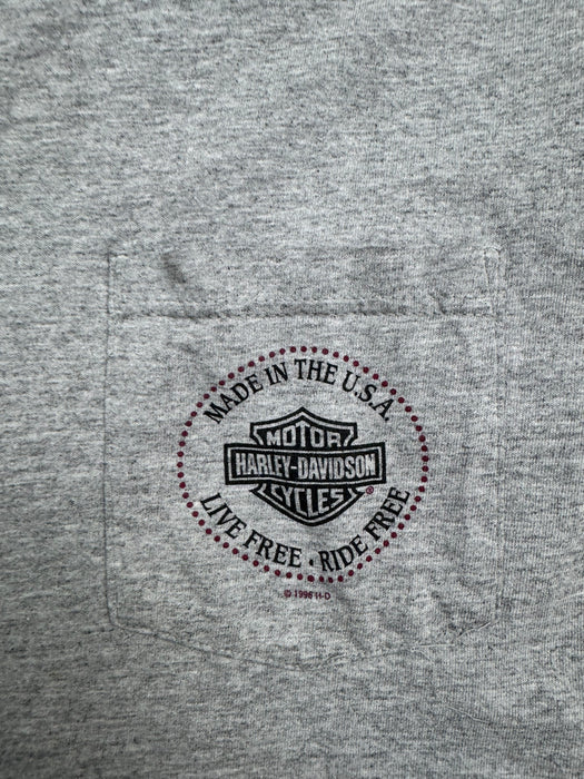 Vintage 90s Boswells Harley Davidson Tee Grey | Vitnage Clothing Store Canada