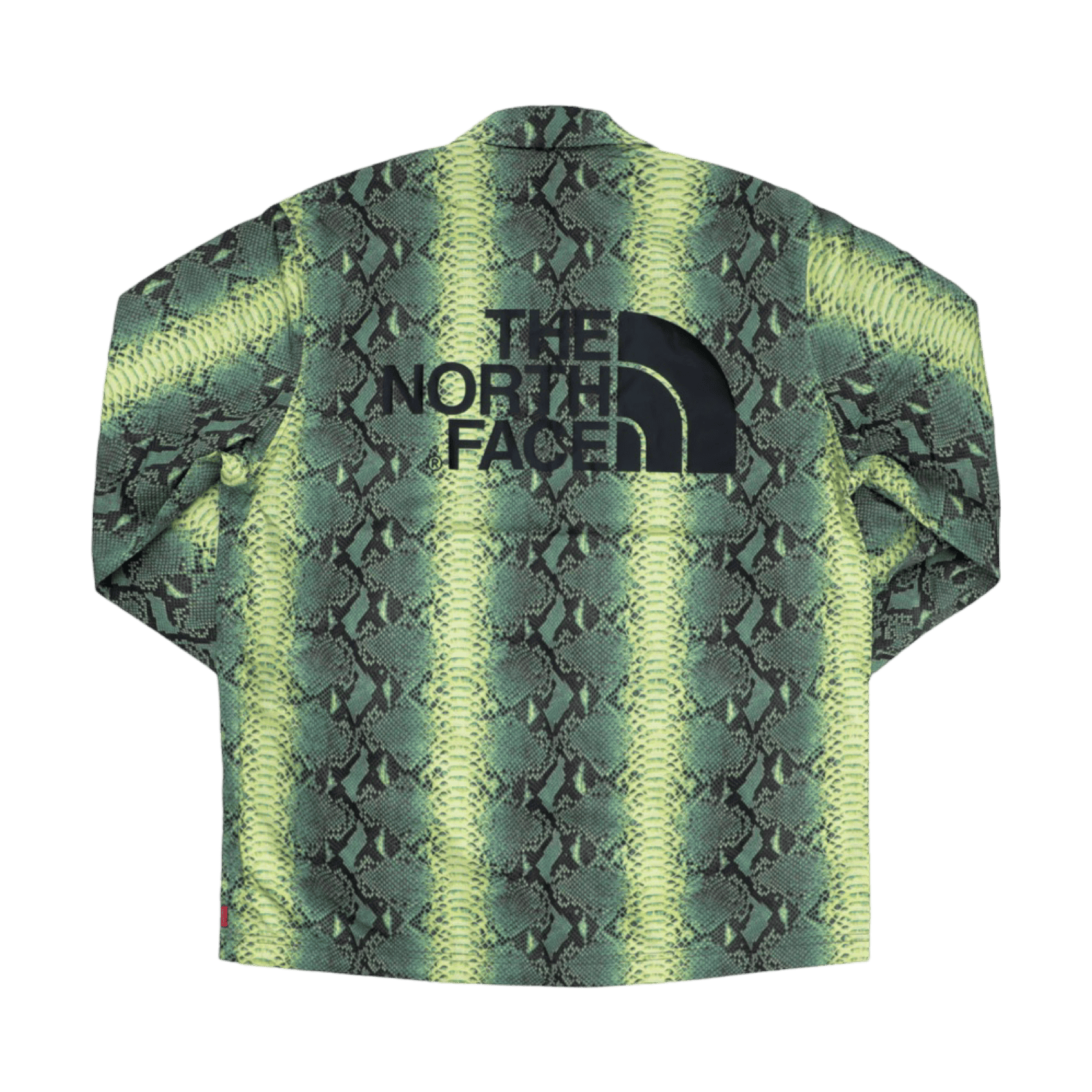Supreme The North Face Snakeskin Taped Seam Coaches Jacket Green