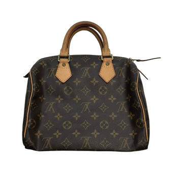 Louis Vuitton Monogram Speedy Bag Brown