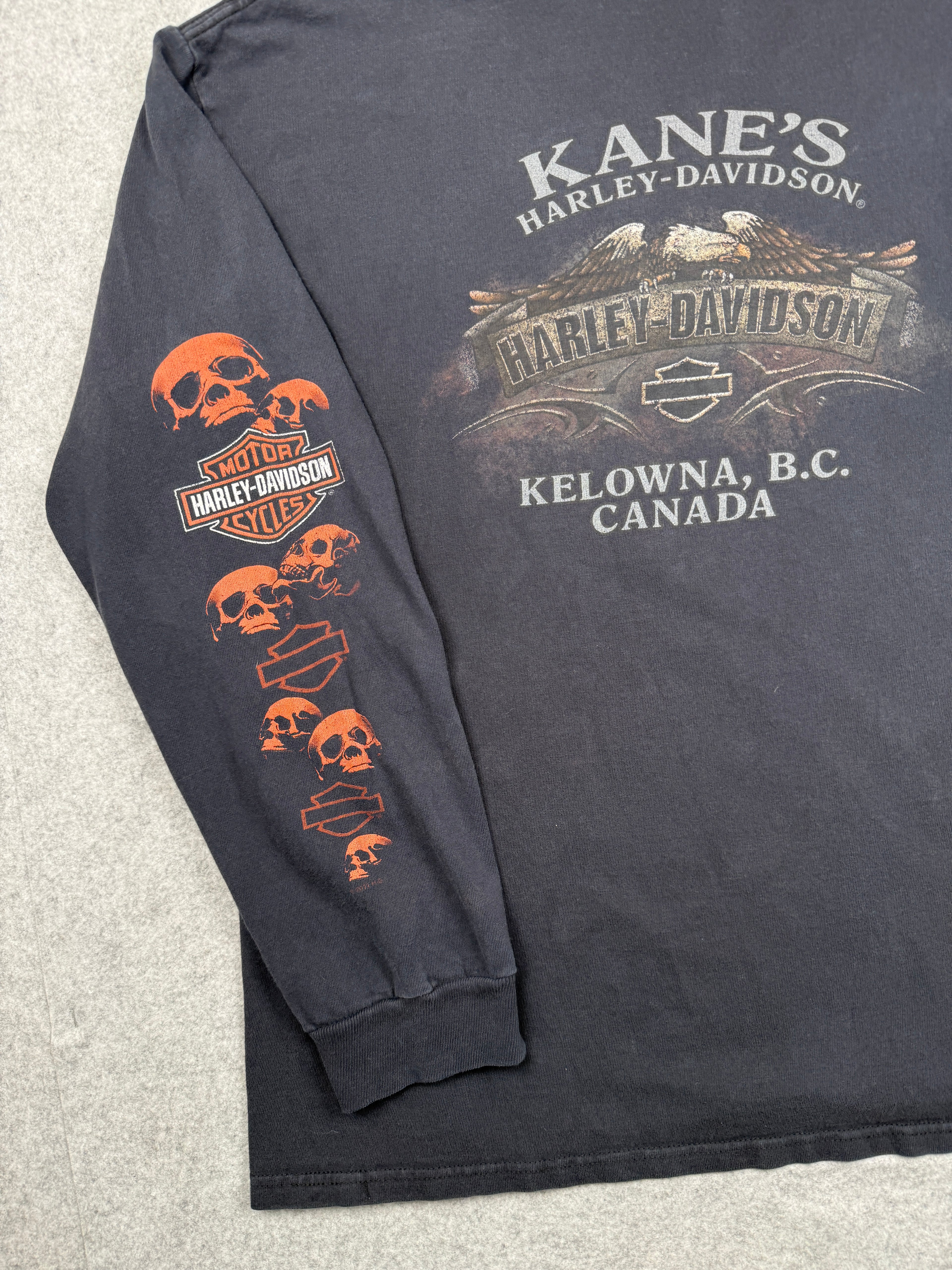 Vintage Harley Davidson Skull Sleeve L/S Tee Black