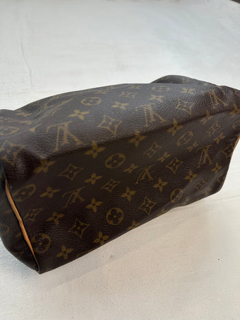 Louis Vuitton Monogram Speedy Bag Brown