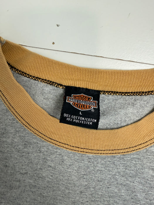 Vintage 2000s Harley Davidson USA Eagle Ringer Tee Grey | Vitnage Clothing Store Canada