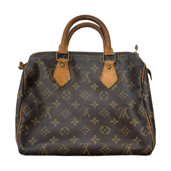 Louis Vuitton Monogram Speedy Bag Brown