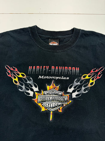 Vintage '04 Thunder Bay Harley Davidson Tee Black