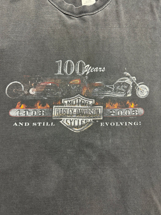 (4XL) Vintage Harley Davidson Marquette Tee Black | Vitnage Clothing Store Canada