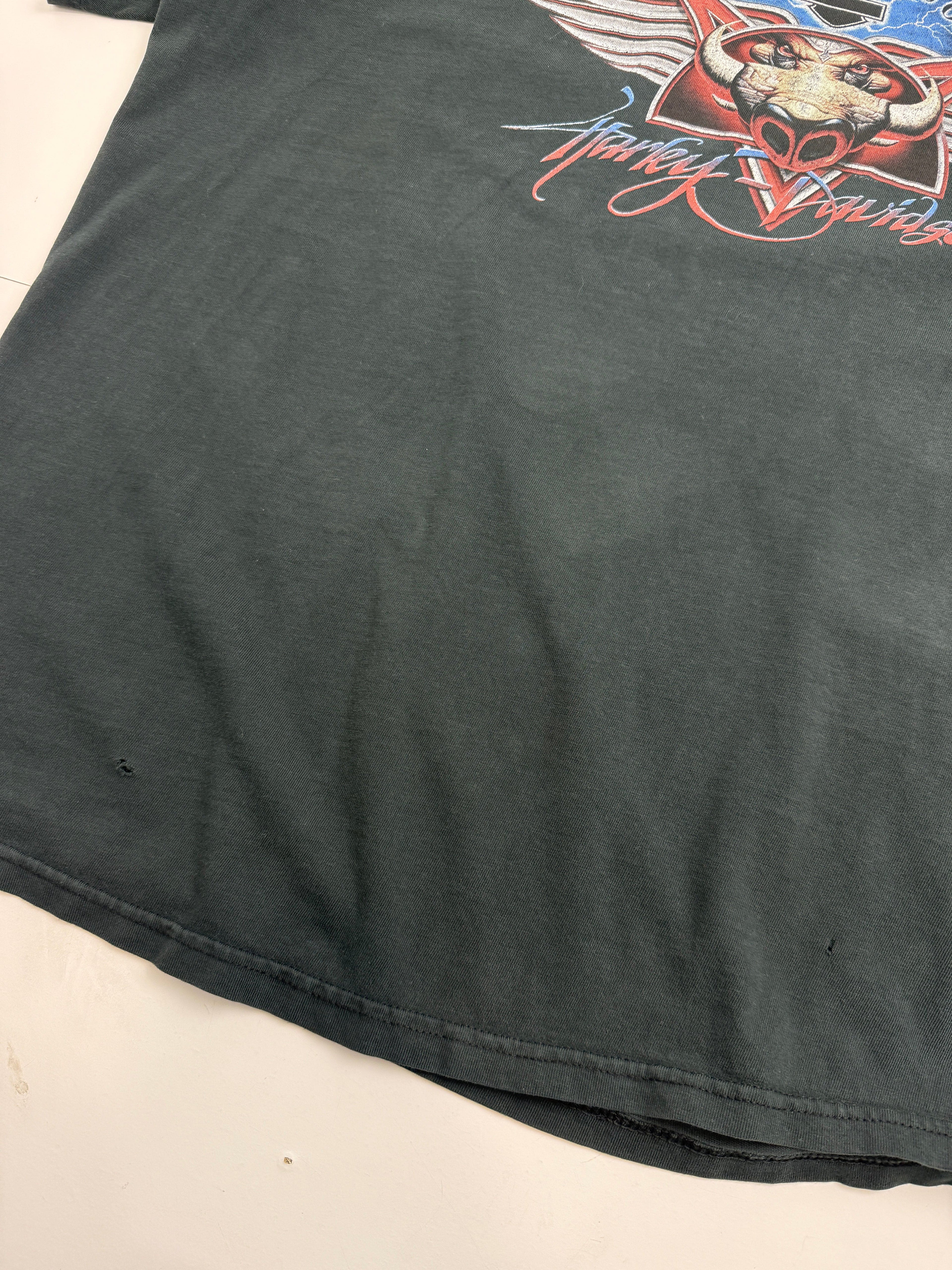 Vintage 2000s Harley Davidson Who Let The Hogs Out Tee Black