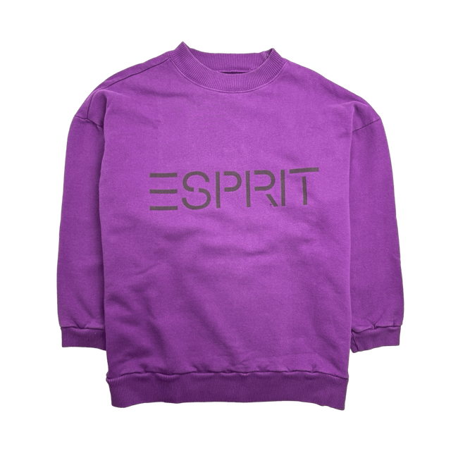 (L) Vintage Esprit Spellout Sweatshirt Purple