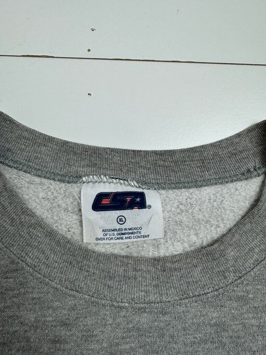 (XL) Vintage '98 NFC Champions Minnesota Vikings Sweatshirt Grey | Vitnage Clothing Store Canada