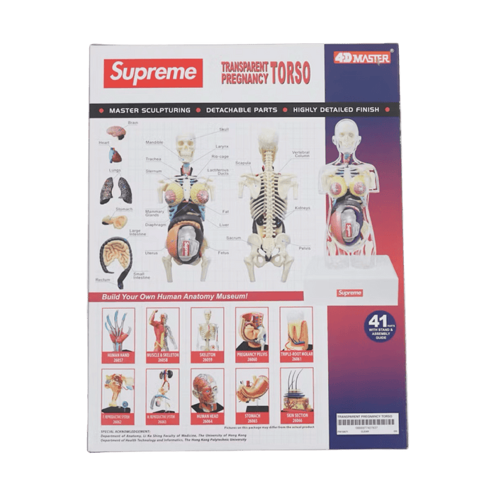 Supreme Female Anatomy Model Clear | Vitnage Clothing Store Canada